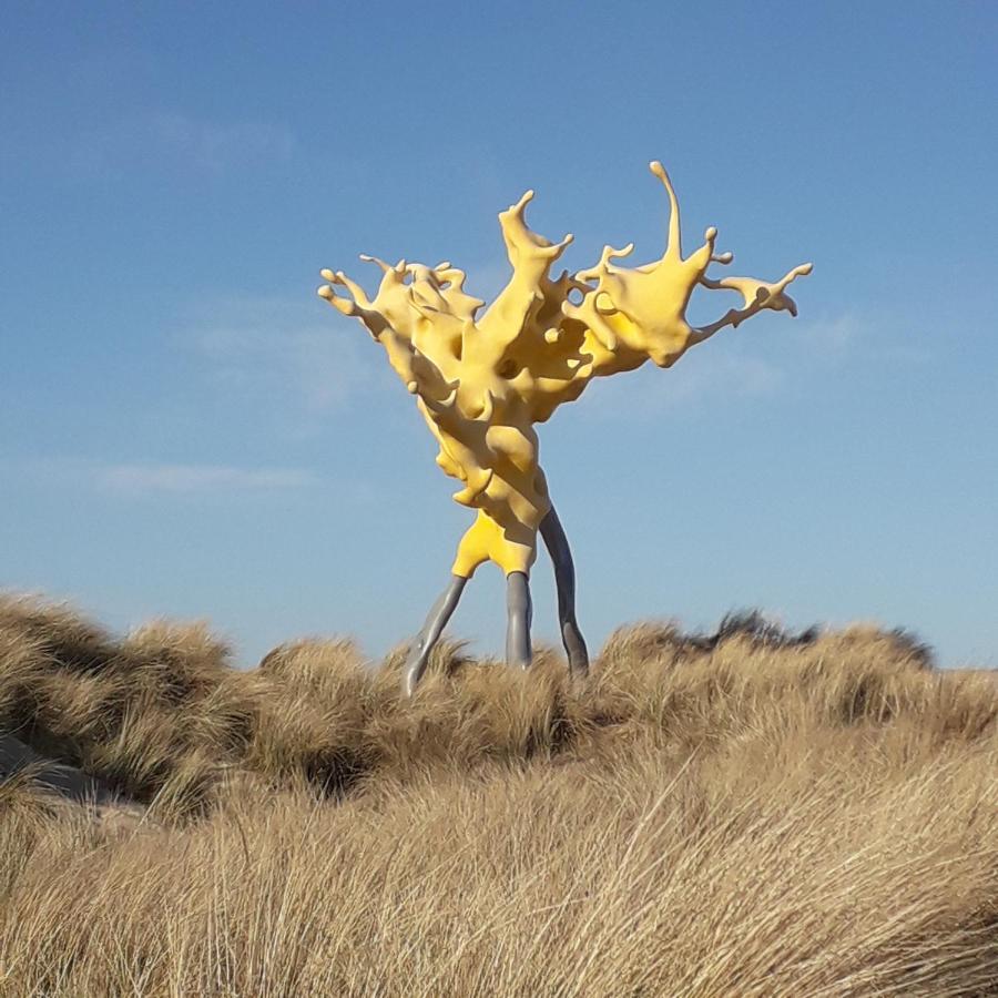 Gaviota Middelkerke