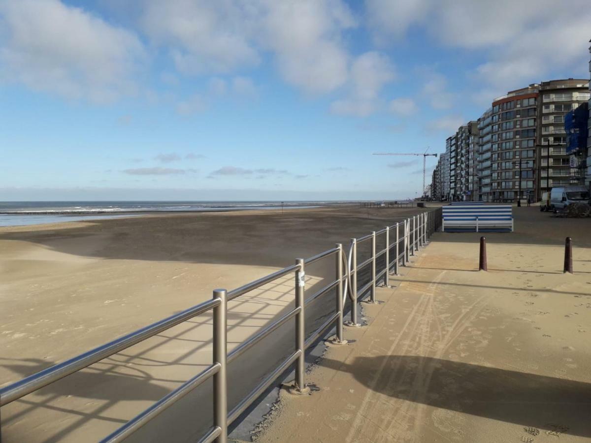 Gaviota * Middelkerke